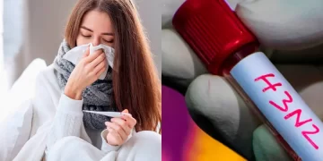 Hay un caso de la variante H3N2 subclado K en la región de Ñuble, confirmado por el Instituto de Salud Pública.