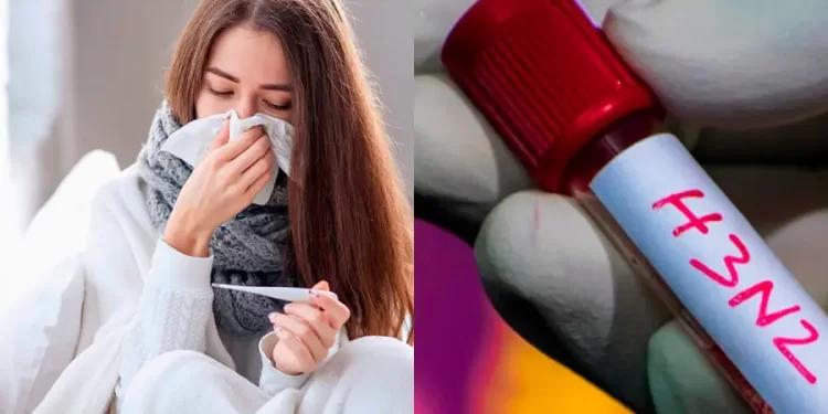 Hay un caso de la variante H3N2 subclado K en la región de Ñuble, confirmado por el Instituto de Salud Pública.