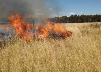 Incendio de pastizales en Ruta 5 Sur, sector Paso Superior Larqui.