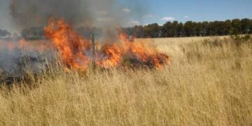 Incendio de pastizales en Ruta 5 Sur, sector Paso Superior Larqui.
