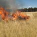 Incendio de pastizales en Ruta 5 Sur, sector Paso Superior Larqui.