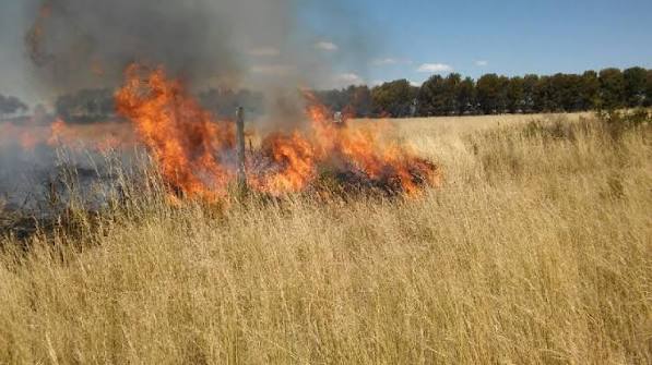 Incendio de pastizales en Ruta 5 Sur, sector Paso Superior Larqui.