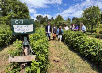INDAP Ñuble y ECOCERT Chile firman convenio para fortalecer la certificación orgánica en la región.