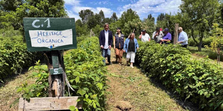 INDAP Ñuble y ECOCERT Chile firman convenio para fortalecer la certificación orgánica en la región.