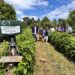 INDAP Ñuble y ECOCERT Chile firman convenio para fortalecer la certificación orgánica en la región.
