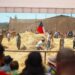 TRILLA A YEGUA SUELTA EN QUILLÓN DA INICIO A LAS FIESTAS TRADICIONALES 2026.