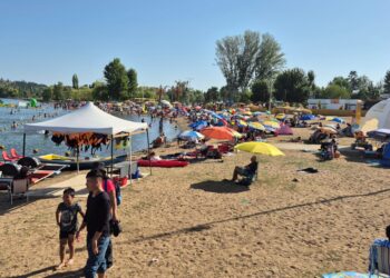 ALTA AFLUENCIA DE PÚBLICO EN LAGUNA AVENDAÑO DE QUILLÓN.
