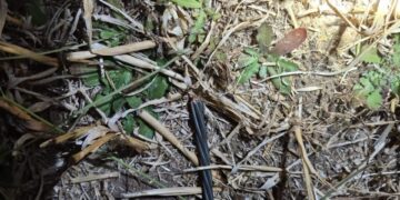 Delincuentes robaron 1 kilómetro de cables de línea de Transmisión CGE en San Carlos.