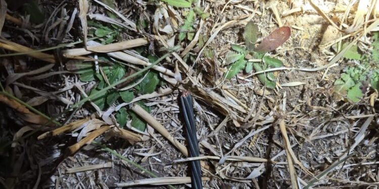 Delincuentes robaron 1 kilómetro de cables de línea de Transmisión CGE en San Carlos.