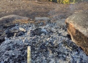 Adulto mayor es asesinado y su cuerpo es quemado en sector rural de Alto Biobío.
