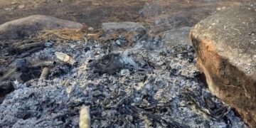 Adulto mayor es asesinado y su cuerpo es quemado en sector rural de Alto Biobío.