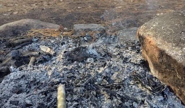 Adulto mayor es asesinado y su cuerpo es quemado en sector rural de Alto Biobío.