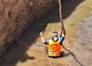AHORA en ÑUBLE 🔴 Carabineros suma drones y canes para la búsqueda de joven extraviado en El Carmen