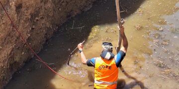 AHORA en ÑUBLE 🔴 Carabineros suma drones y canes para la búsqueda de joven extraviado en El Carmen