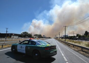 Ñuble: Carabineros detuvo a 160 personas durante la última semana, de ellas 4 por incendios forestales.