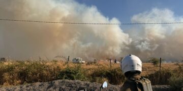 7 casas destruidas deja hasta el momento incendio forestal en San Nicolás.