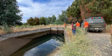 Carabineros rastrea canal Laja -Diguillín en búsqueda de joven extraviado en El Carmen.
