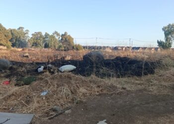 PDI INVESTIGA CAUSAS DE INCENDIO FORESTAL QUE AFECTÓ A NUEVE VIVIENDAS EN SAN NICOLÁS.