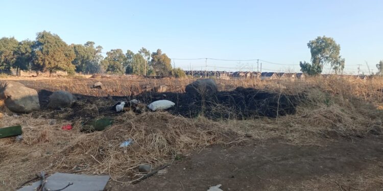 PDI INVESTIGA CAUSAS DE INCENDIO FORESTAL QUE AFECTÓ A NUEVE VIVIENDAS EN SAN NICOLÁS.