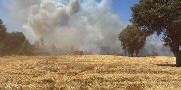 ESTA TARDE🔥  IF amenaza zonas habitadas de Quillón.