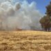 ESTA TARDE🔥 IF amenaza zonas habitadas de Quillón.