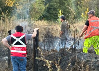 Municipios activan gestiones de apoyo por impacto de los incendios en Ñuble.