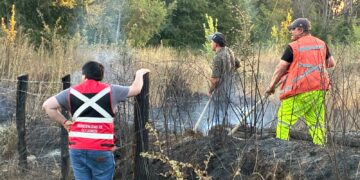 Municipios activan gestiones de apoyo por impacto de los incendios en Ñuble.