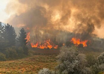 Investiga origen de incendios forestales que dejan a una persona fallecida en Bulnes.