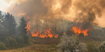 Investiga origen de incendios forestales que dejan a una persona fallecida en Bulnes.