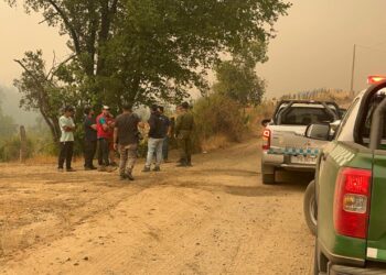 Fiscalia participó en el Cogrid por Ñuble.