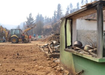 Minvu inicia catastro en comunas afectadas por incendios en Ñuble.