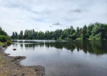 Tras oportuna reacción se evitó una tragedia en el río Itata, región de Ñuble.