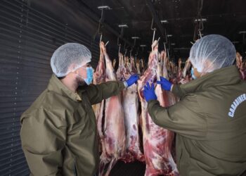 Sorprenden a dos individuos con carnes sin documentación que acreditara su origen legal.