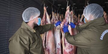 Sorprenden a dos individuos con carnes sin documentación que acreditara su origen legal.