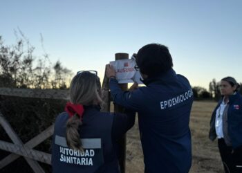 Fiscalización migratoria y sanitaria en Coihueco detectó distintas irregularidades