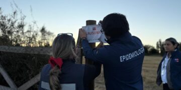 Fiscalización migratoria y sanitaria en Coihueco detectó distintas irregularidades