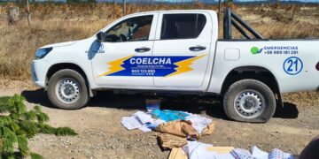 Derribaron un árbol en el camino para asaltar a ocupantes de una camioneta en Ñuble.
