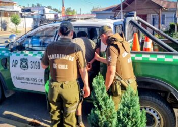 Hombre habría violado a la pareja de su hijo en Ñuble.