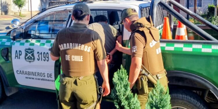 Hombre habría violado a la pareja de su hijo en Ñuble.