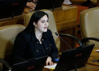 Diputada Sara Concha califica como “falsas” las informaciones sobre supuesto llamado contra rutina en Viña 2026.