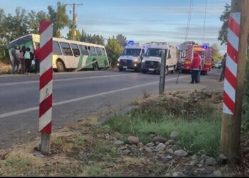DOS PERSONAS FALLECIDAS DEJA TRÁGICA JORNADA EN LA REGIÓN DE ÑUBLE.