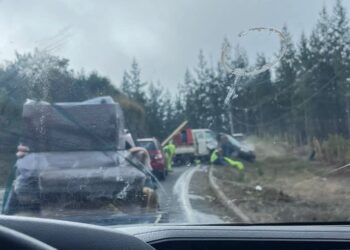 Conductora bajo los efectos de la droga provocó accidente con resultado de muerte de una persona en Ñuble.