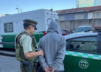 Ciudadano extranjero es sorprendido con especies robadas en Chillán.