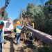 Robos de conductor eléctrico en San Carlos dejaron 41 clientes afectados y cerca de un kilómetro de red sustraída.