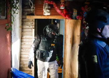 PDI DETIENE A HOMBRE QUE MANTENÍA CULTIVO ILEGAL DE CANNABIS EN COELEMU.