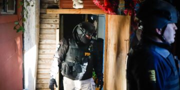 PDI DETIENE A HOMBRE QUE MANTENÍA CULTIVO ILEGAL DE CANNABIS EN COELEMU.