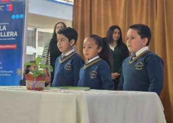 SLEP Punilla Cordillera inicia año escolar con mejoras en el SIMCE y asistencia destacada a nivel nacional.