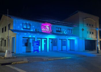 Con iluminación de Municipios y feria informativa: Ñuble conmemora el Día del Niño que Está por Nacer y la Adopción.