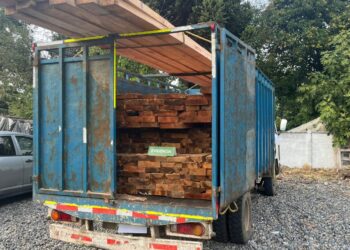 Ñuble: Carabineros de OS9 detuvo a sujeto por sustracción de madera y conducción sin licencia debida.