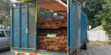 Ñuble: Carabineros de OS9 detuvo a sujeto por sustracción de madera y conducción sin licencia debida.